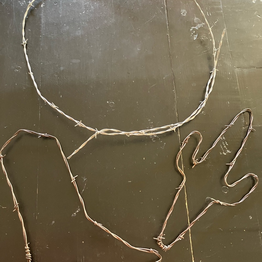 Barbed Wire Wreath/Lasso, Boot, and  Cactus.